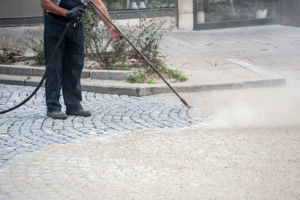 Best Dumpster Area Cleaning  in Palmyra, IN