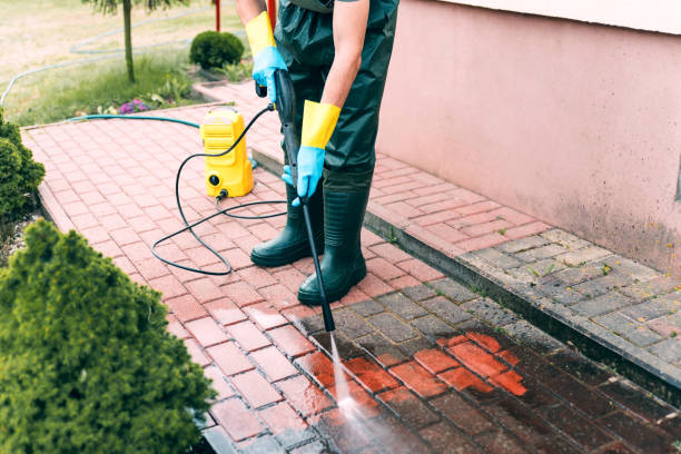 Best Animal Enclosure Cleaning  in Palmyra, IN