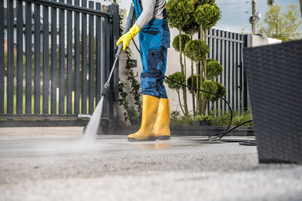 Best Rust Removal  in Palmyra, IN